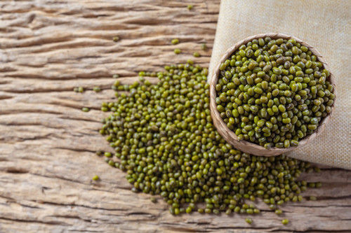 Mung Bean