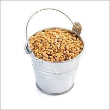 Brown Wheat Brown Wheat