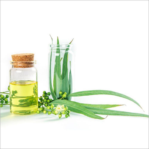 Eucalyptus Oil