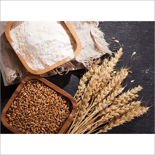 White Whole Wheat Flour