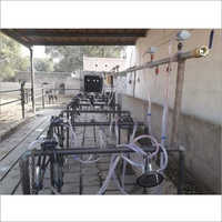 Cow Milking Parlor