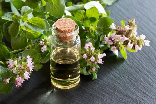 Oregano Essential Oil Age Group: All Age Group