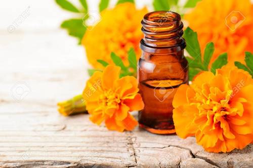 Tagetes Essential Oil Age Group: All Age Group