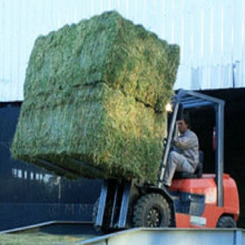 Alfalfa Hay Available