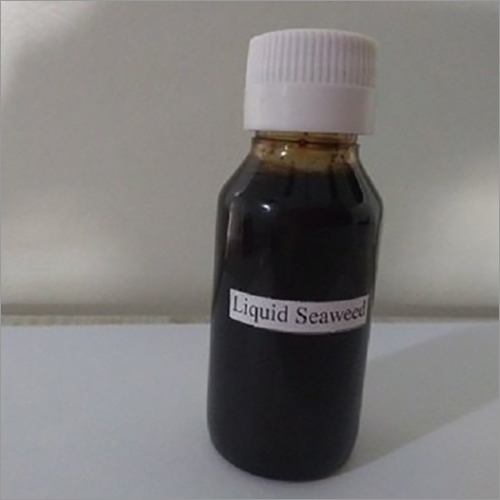 Seaweed Extract Based Organic Fertilizer