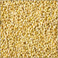 Millet Grain