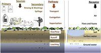 Super Absorbent Polymer For Agriculture