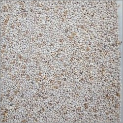 White Chia Seeds Grade: Food