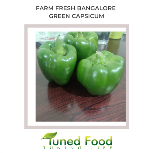 Green Bell Pepper / Capsicum By TUNED FOOD AGRO LLP