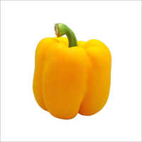 Yellow Bell Pepper / Capsicum