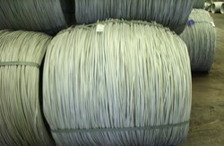 Stainless Steel 304L Wire
