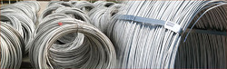 Stainless Steel 316 Wire