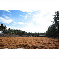 Brown Coir Fiber - Coconut Fiber Material, Golden Brown Color | Eco-friendly Mats & Mattresses, Home Textile