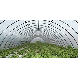 Nursery Polyhouse