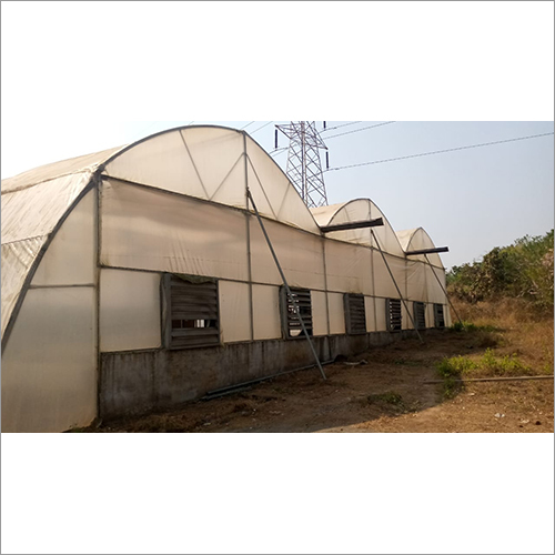 Nursery Polyhouse