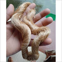 Muga Silk