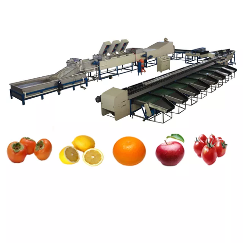 Mushroom Processing Machine