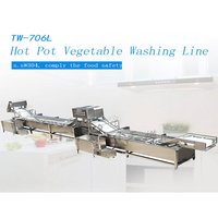Hot Pot Vegetable Washing Line