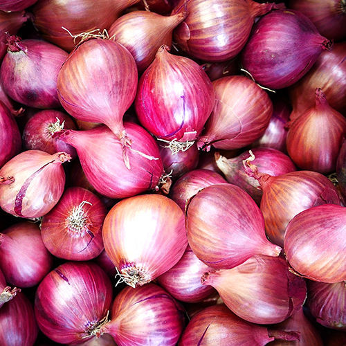 Red Onion