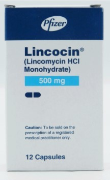 Lincocin 12 Capsules
