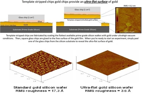 Ultra-Flat Gold Surfaces  Gold Thin Films