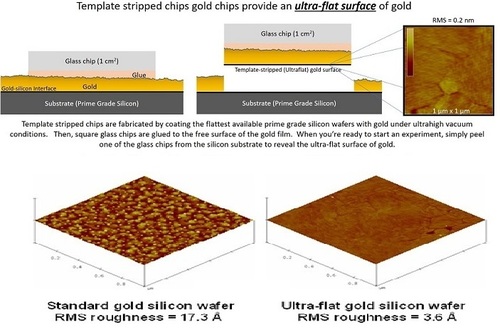 Ultra-Flat Gold Surfaces  Gold Thin Films Dimension(L*W*H): 100 Nanometer (Nm)