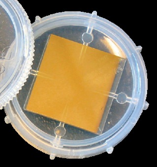 Gold-Coated Chips for SPR