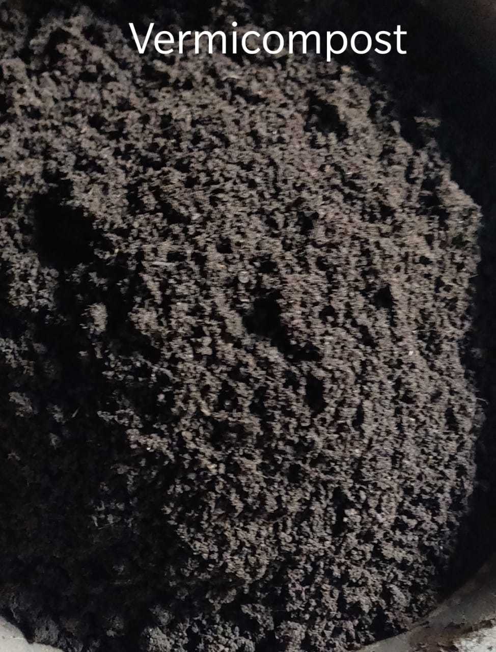 Tulsi Worm Power Vermicompost