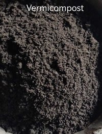 Tulsi Worm Power Vermicompost