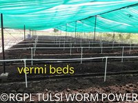 Tulsi Worm Power Vermicompost