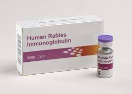 Human Rabies Immunoglobulin Vaccines