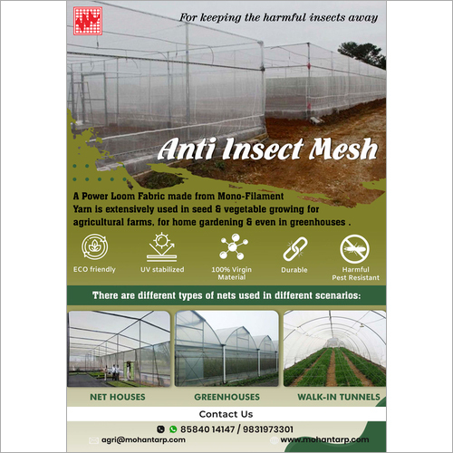 Insect Mesh 
