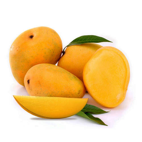 Open Air Fresh Kesar Mango
