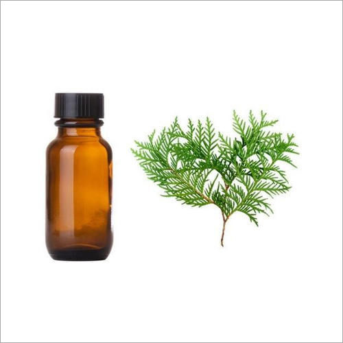 Cypress Oil