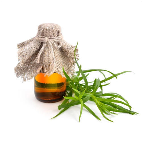 Tarragon Oil