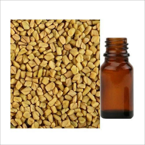 Fenugreek Oil