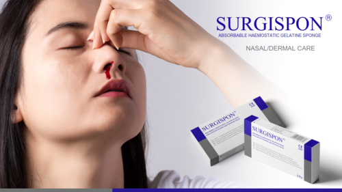 Surgispon Nasal Dermal Woundcare Grade: Gelatin