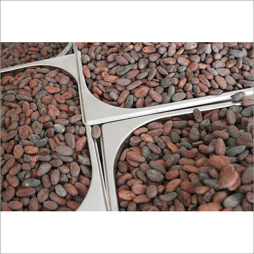 Raw Cocoa Beans