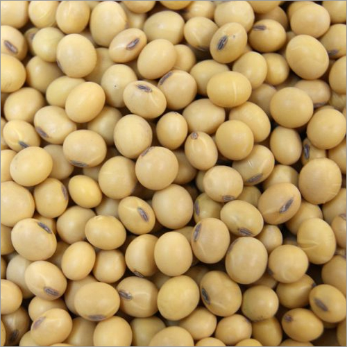 Natural Soybean Seeds