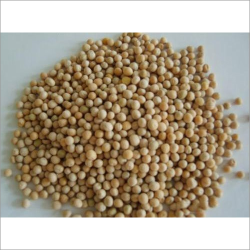 Diammonium Phosphate Granules
