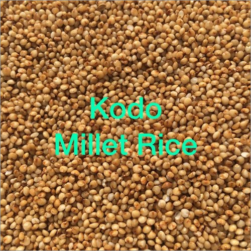 Kodo Millet By CSR IMPORTS & EXPORTS