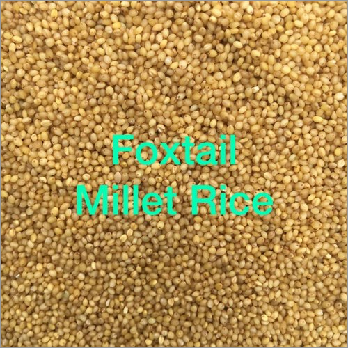 Organic Foxtail Millet By CSR IMPORTS & EXPORTS