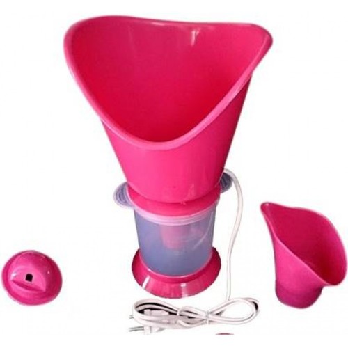 steam vaporizer