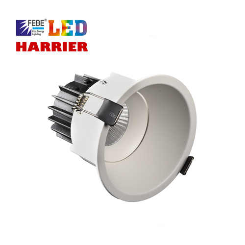 Cob Led Light 20W Harrier (Movable Type) Application: Commericial