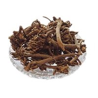 Akarkara Root Age Group: For Adults