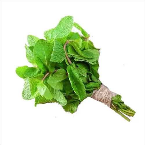 Green Mint Leaves By RAMAHI EXPORT AND IMPORT