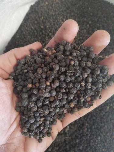 Black Pepper