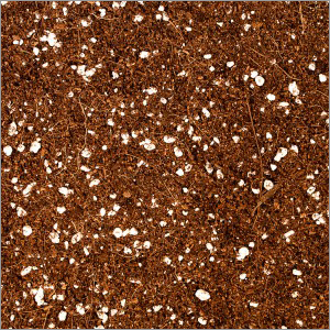 Coco Perlite Mix