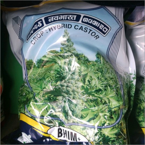 Organic Castor Seeds