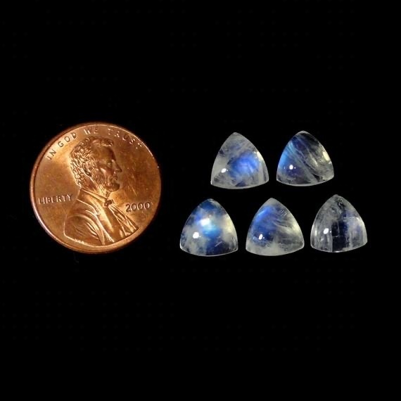 5mm Rainbow Moonstone Trillion Cabochon Loose Gemstones